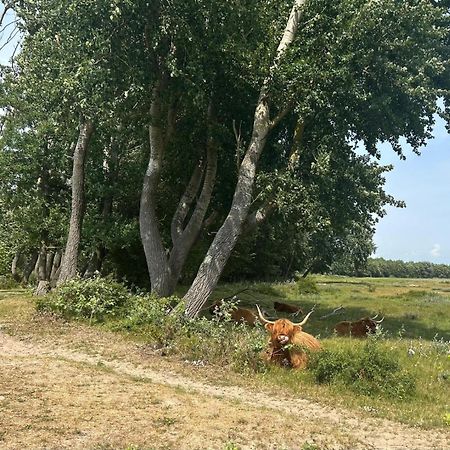 Zomerhuis Duinzicht Egmond aan den Hoef Exterior photo