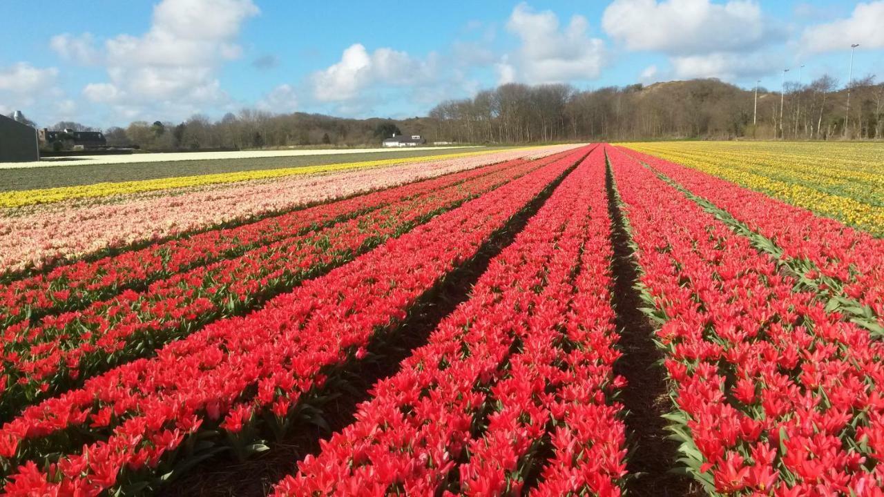 Zomerhuis Duinzicht Egmond aan den Hoef Exterior photo